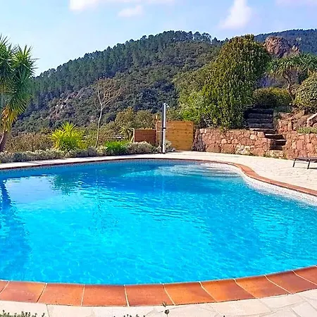 Escaillon Comfortable فندق