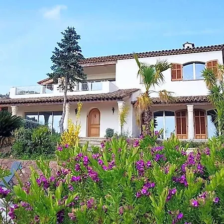 Escaillon Comfortable